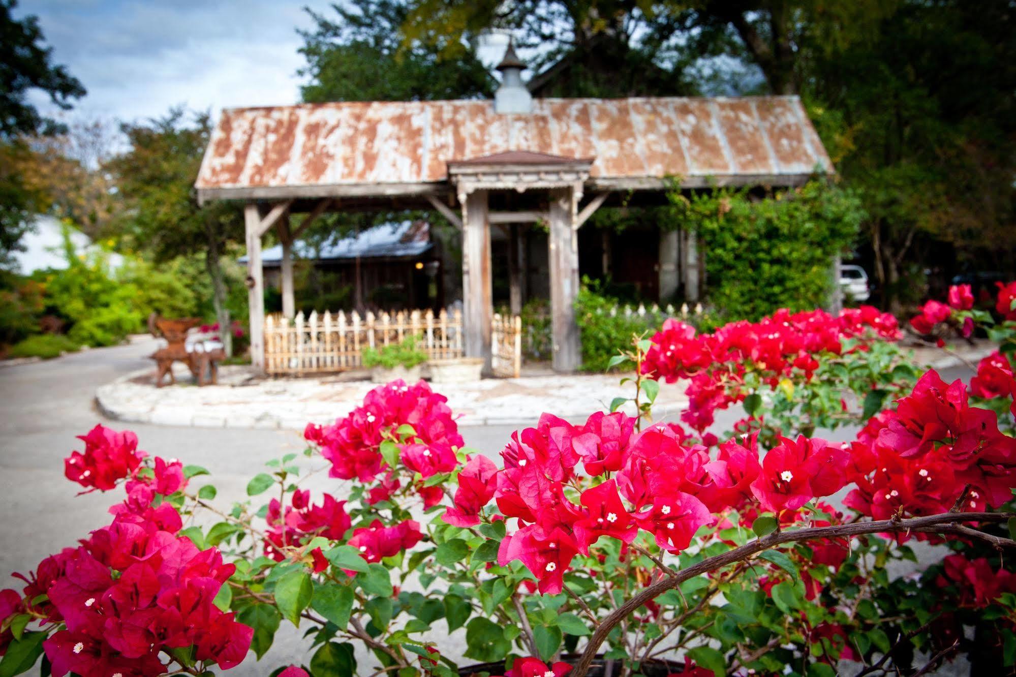 Gruene Mansion Inn New Braunfels Exterior foto